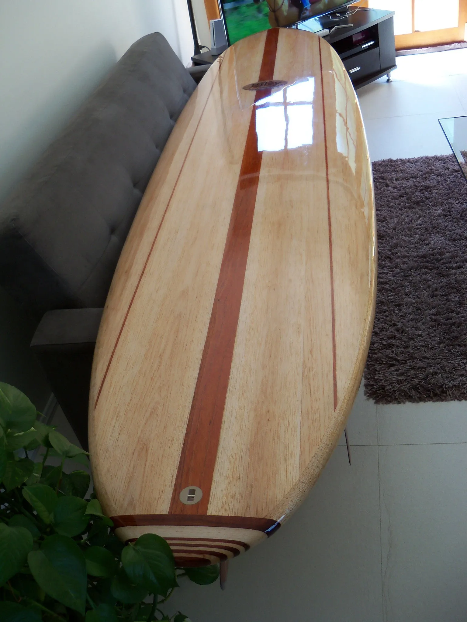 Stand Up Paddle Boards or SUPS